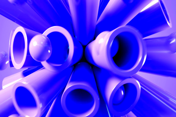 알파 존 모험 체험