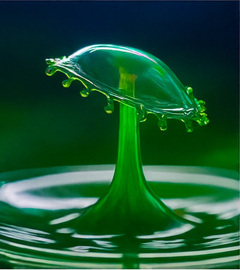 새로운 탐험이 기다립니다